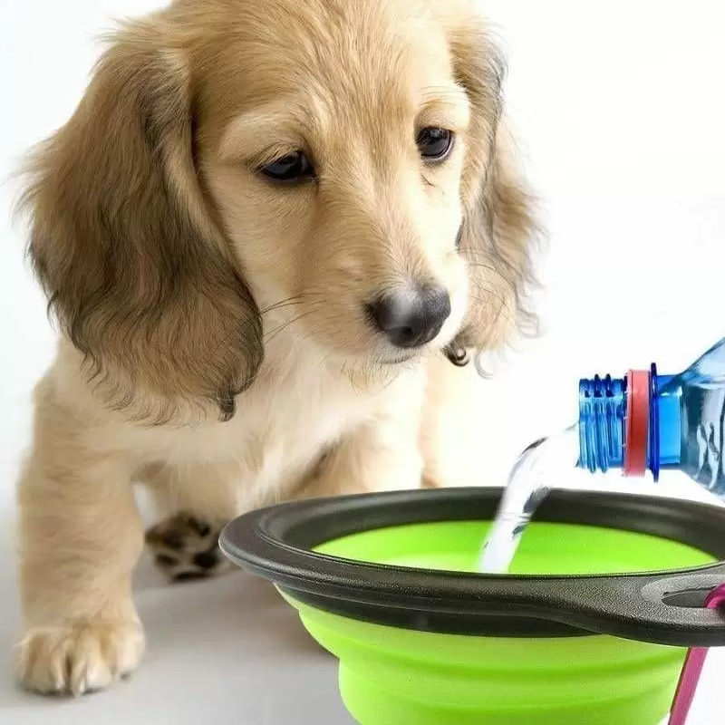 silicone pet products5