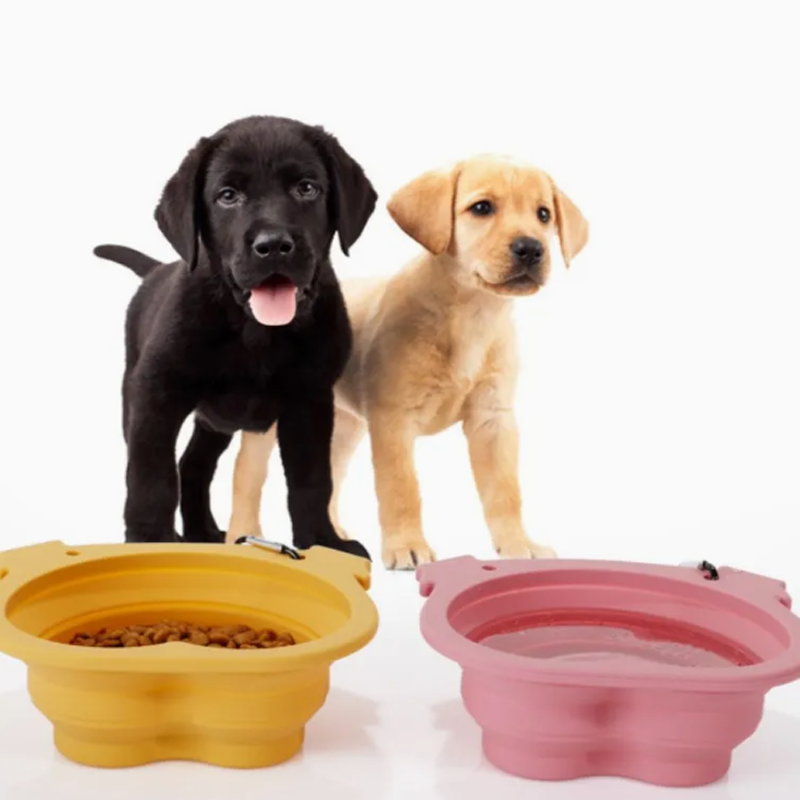 OEM Collapsible Travel Outdoor Food Water Pet Bowls with Custom Logo Printing Service Manufacturer1