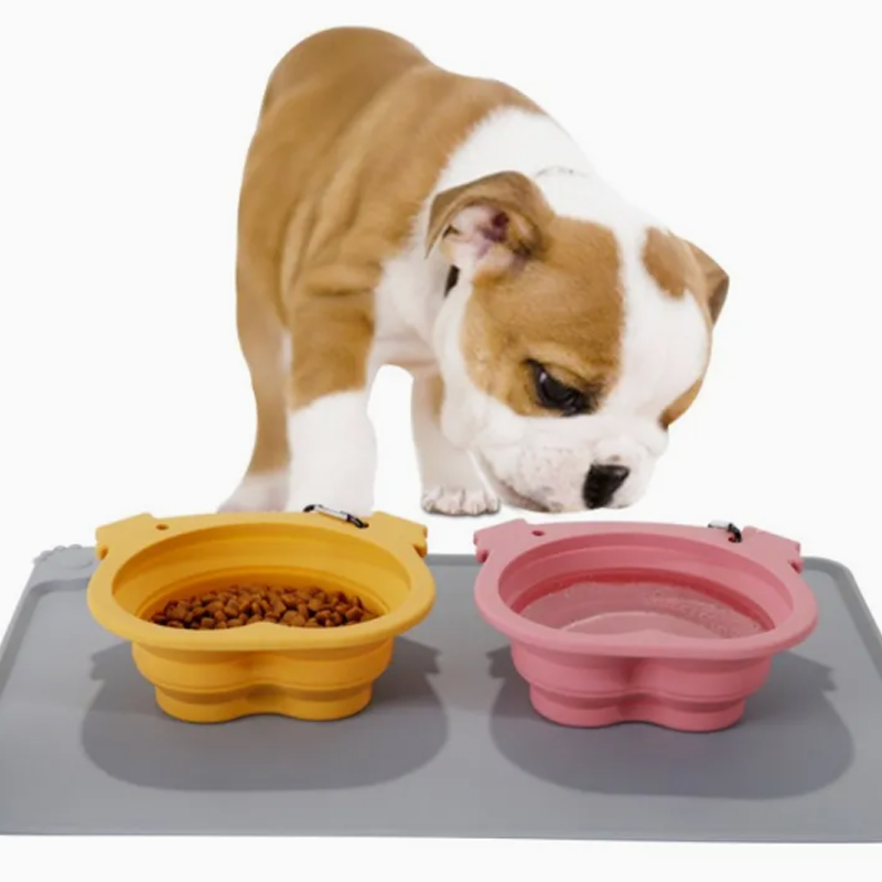 OEM Collapsible Travel Outdoor Food Water Pet Bowls with Custom Logo Printing Service Manufacturer2